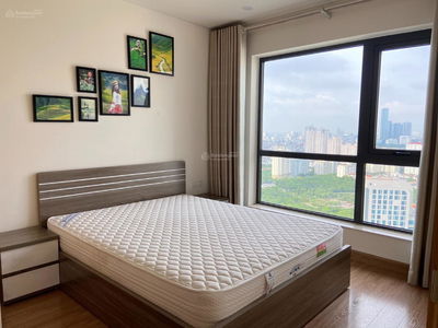 137, Vietnam 137, Vietnam