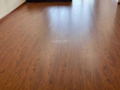 CT4 Vimeco II, Vietnam CT4 Vimeco II, Vietnam