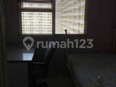 Trivium Terrace, Indonesia  Trivium Terrace, Indonesia