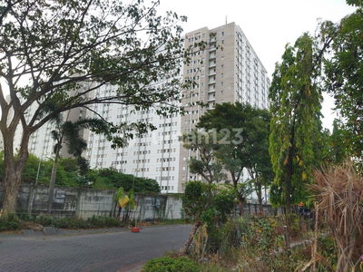 Kertajaya Peak, Indonesia  Kertajaya Peak, Indonesia