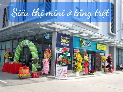 D-Vela, Vietnam D-Vela, Vietnam