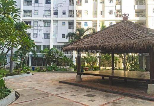 apt season city, Indonesia apt season city, Indonesia