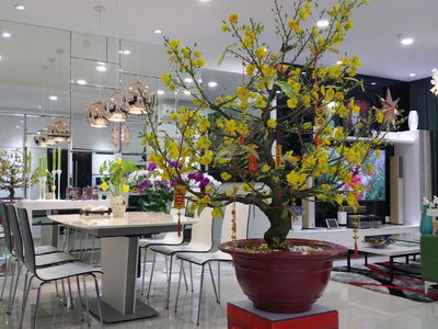 Sunrise City, Vietnam Sunrise City, Vietnam