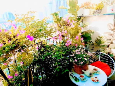 Building, Vietnam Building, Vietnam