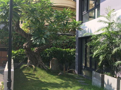 Cach Mang Thang Tam Street, Vietnam Cach Mang Thang Tam Street, Vietnam