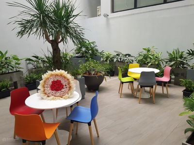 Cach Mang Thang Tam Street, Vietnam Cach Mang Thang Tam Street, Vietnam