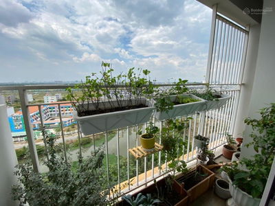 The Krista, Vietnam  The Krista, Vietnam