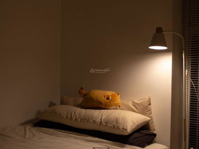 Thu Thiem Sky, Vietnam Thu Thiem Sky, Vietnam