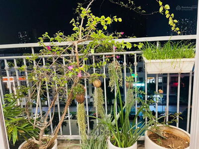 Vinhomes Gardenia, Vietnam Vinhomes Gardenia, Vietnam