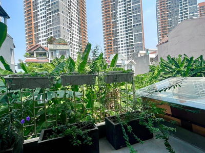 Mai Chi Tho Street, Vietnam Mai Chi Tho Street, Vietnam