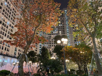 The Emerald, Vietnam The Emerald, Vietnam