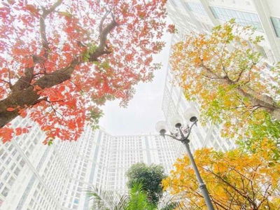 The Emerald, Vietnam The Emerald, Vietnam