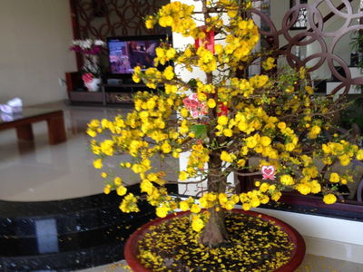 Him Lam Kenh Te, Vietnam  Him Lam Kenh Te, Vietnam