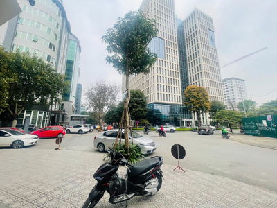 Nguyen Chanh Street, Vietnam Nguyen Chanh Street, Vietnam