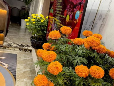 Thach Ban Street, Vietnam Thach Ban Street, Vietnam