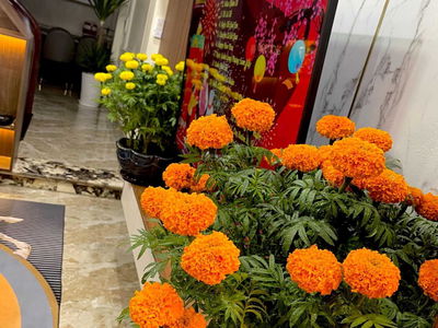 Thach Ban Street, Vietnam  Thach Ban Street, Vietnam