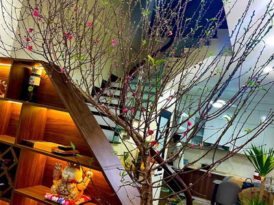 Thach Ban Street, Vietnam Thach Ban Street, Vietnam