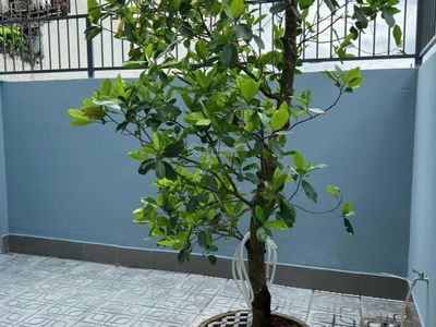 Street 711, Vietnam Street 711, Vietnam