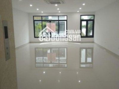 60, Vietnam 60, Vietnam