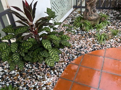 Phu Nhuan Residential, Vietnam Phu Nhuan Residential, Vietnam