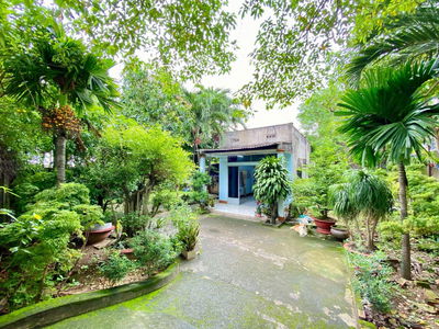 Linh Trung Ward, Vietnam  Linh Trung Ward, Vietnam