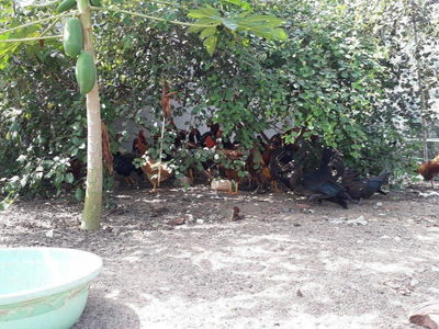 Hung Vuong Street, Vietnam Hung Vuong Street, Vietnam