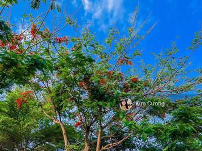 Park Riverside Tan Cang, Vietnam Park Riverside Tan Cang, Vietnam