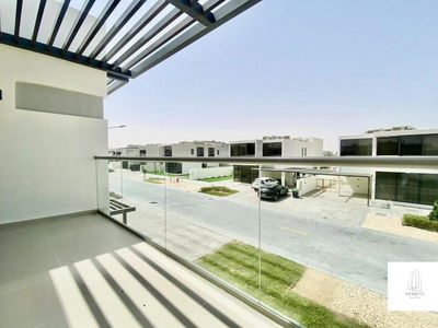 Aster, United Arab Emirates  Aster, United Arab Emirates