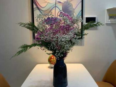 Opal Boulevard, Vietnam Opal Boulevard, Vietnam