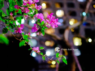 Times City, Vietnam Times City, Vietnam