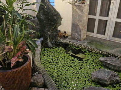 Thai An Apartment, Vietnam Thai An Apartment, Vietnam