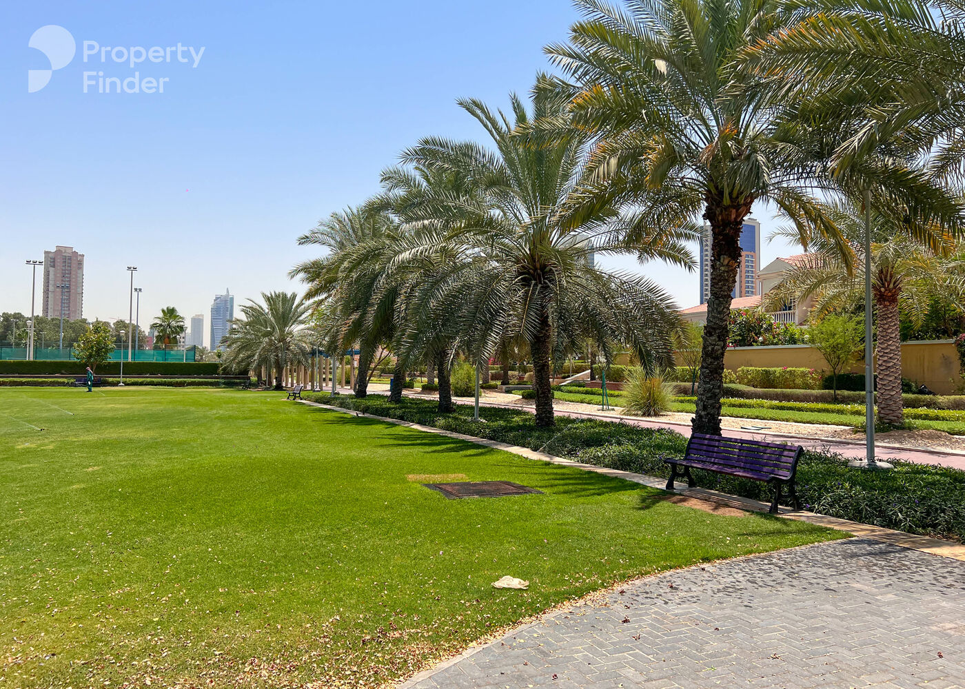 The IVY, United Arab Emirates The IVY, United Arab Emirates