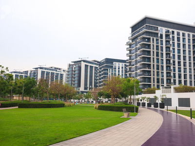 Mulberry, United Arab Emirates  Mulberry, United Arab Emirates