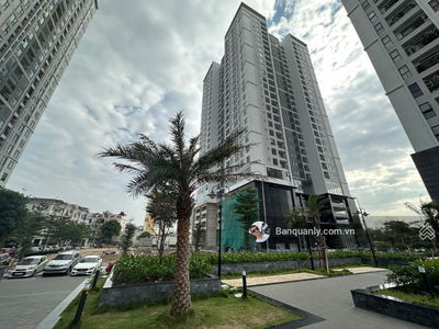 Rose Town, Vietnam Rose Town, Vietnam