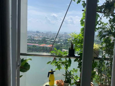 Dic Phoenix, Vietnam Dic Phoenix, Vietnam