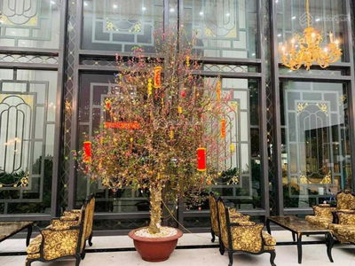 The Emerald CT8 My Dinh, Vietnam The Emerald CT8 My Dinh, Vietnam