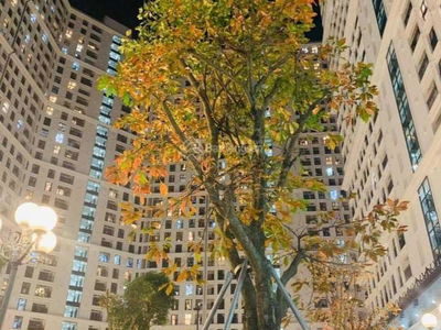 The Emerald CT8 My Dinh, Vietnam The Emerald CT8 My Dinh, Vietnam