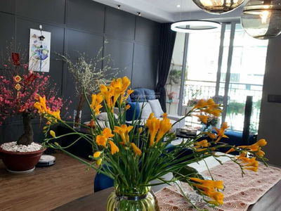 Vinhomes Gardenia, Vietnam Vinhomes Gardenia, Vietnam