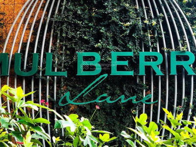 Mulberry Lane, Vietnam Mulberry Lane, Vietnam