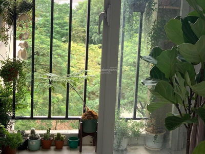 The Art, Vietnam The Art, Vietnam