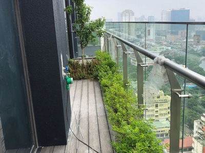 Green Diamond, Vietnam Green Diamond, Vietnam