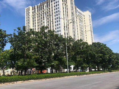 Moonlight 1, Vietnam Moonlight 1, Vietnam