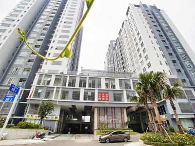 Hung Phat Silver Star, Vietnam Hung Phat Silver Star, Vietnam