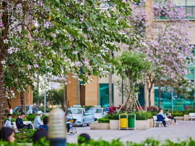 The Pride, Vietnam The Pride, Vietnam