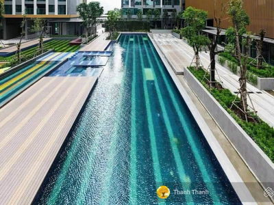 Of The Sun, Vietnam Of The Sun, Vietnam