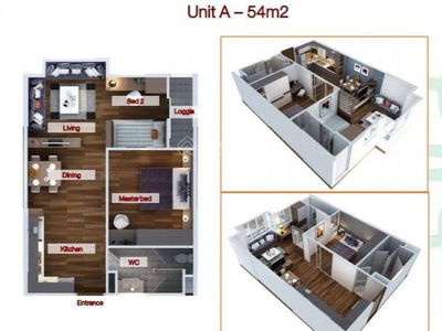 Flora Cherry, Vietnam Flora Cherry, Vietnam