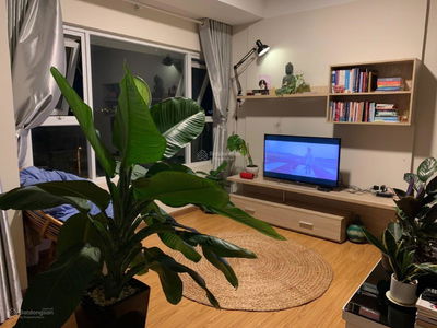 Flora Cherry, Vietnam Flora Cherry, Vietnam