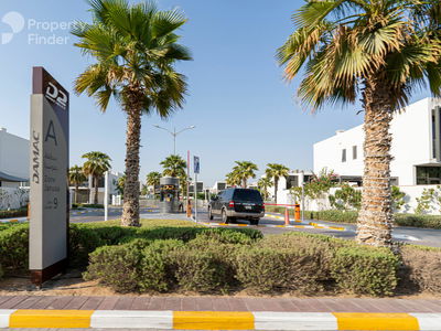 Centaury, United Arab Emirates  Centaury, United Arab Emirates