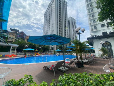 Iris Garden, Vietnam Iris Garden, Vietnam