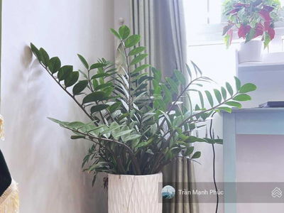 Sunview Town, Vietnam Sunview Town, Vietnam